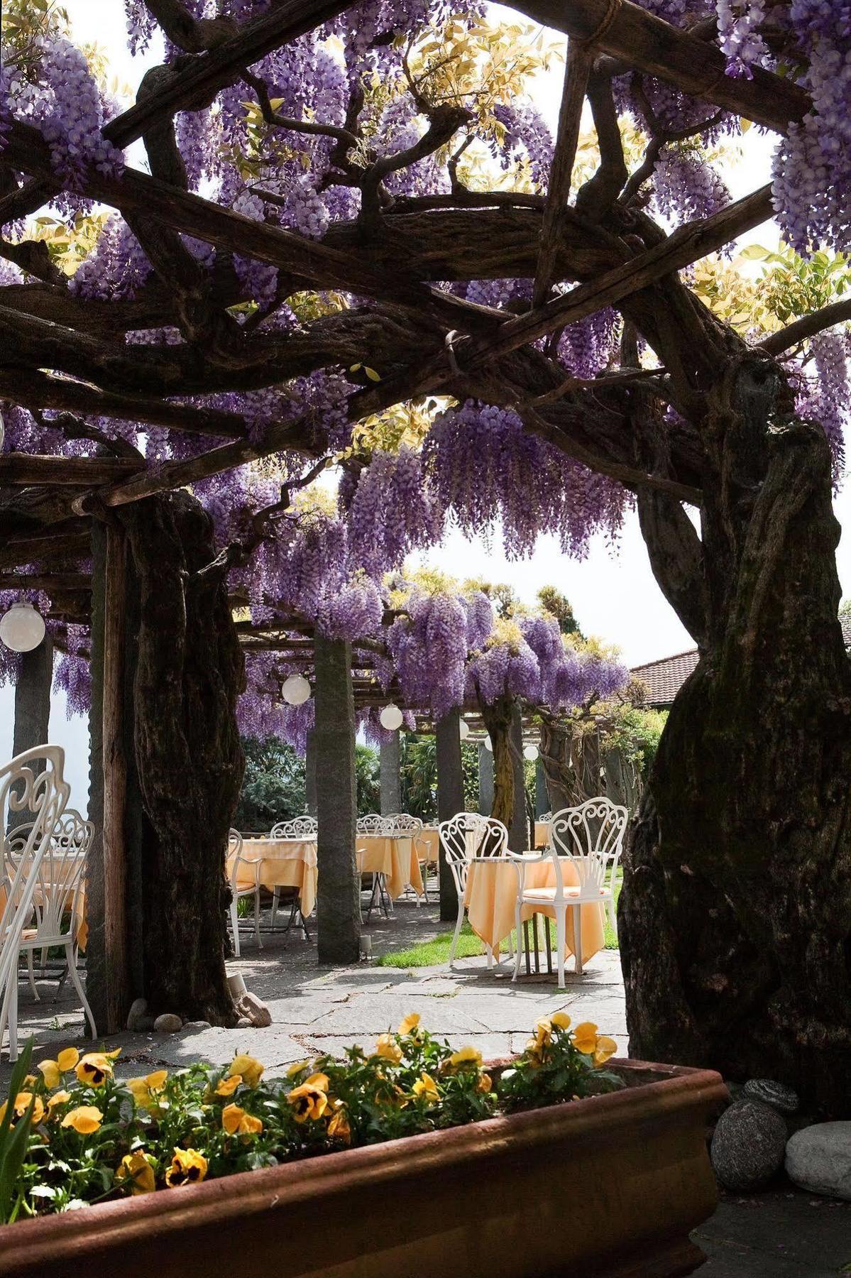 Hotel Ascona Eksteriør bilde